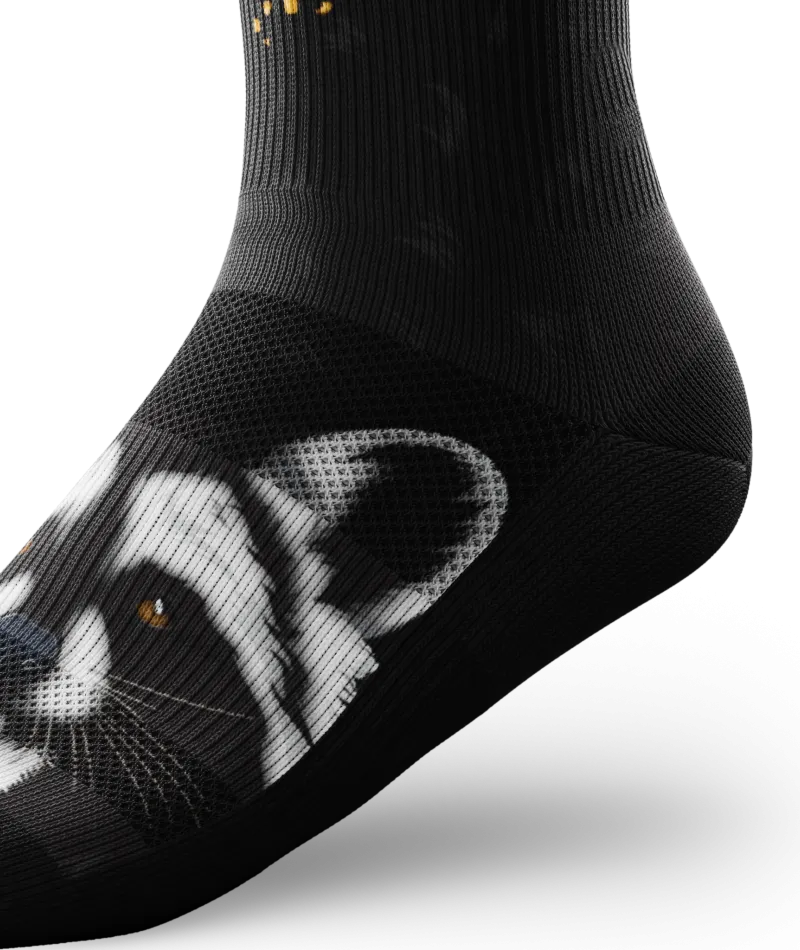 Rad Raccoon Crew Socks